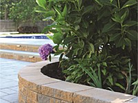 Nicolock Wall Systems