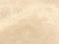 Nicostone Slabs and Wallstones - Boxed
