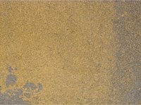 Paver Shield - Pavers and Circles