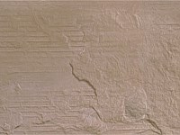 Paver Shield - Pavers and Circles