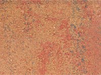 Paver Shield - Pavers and Circles