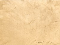 Paver Shield - Pavers and Circles