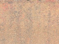 Paver Shield - Pavers and Circles