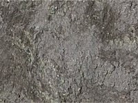 Paver Shield - Pavers and Circles