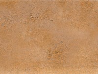 Paver Shield - Pavers and Circles