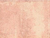 Paver Shield - Pavers and Circles
