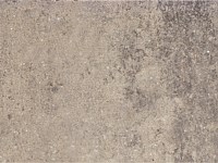 Paver Shield - Pavers and Circles