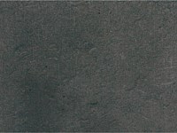 Paver Shield - Pavers and Circles