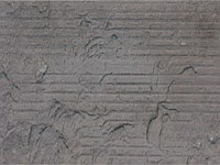 Paver Shield - Pavers and Circles