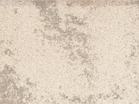 Paver Shield - Pavers and Circles