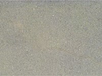 Paver Shield - Pavers and Circles