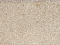 Paver Shield - Pavers and Circles