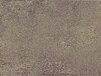 Paver Shield - Pavers and Circles