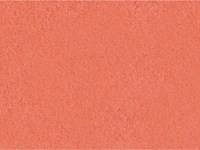 Paver Shield - Pavers and Circles