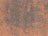Paver Shield - Pavers and Circles