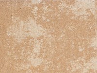 Paver Shield - Pavers and Circles