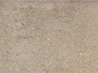 Paver Shield - Pavers and Circles