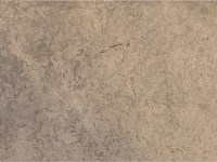 Paver Shield - Pavers and Circles