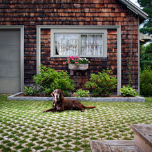 Turfstone&trade;